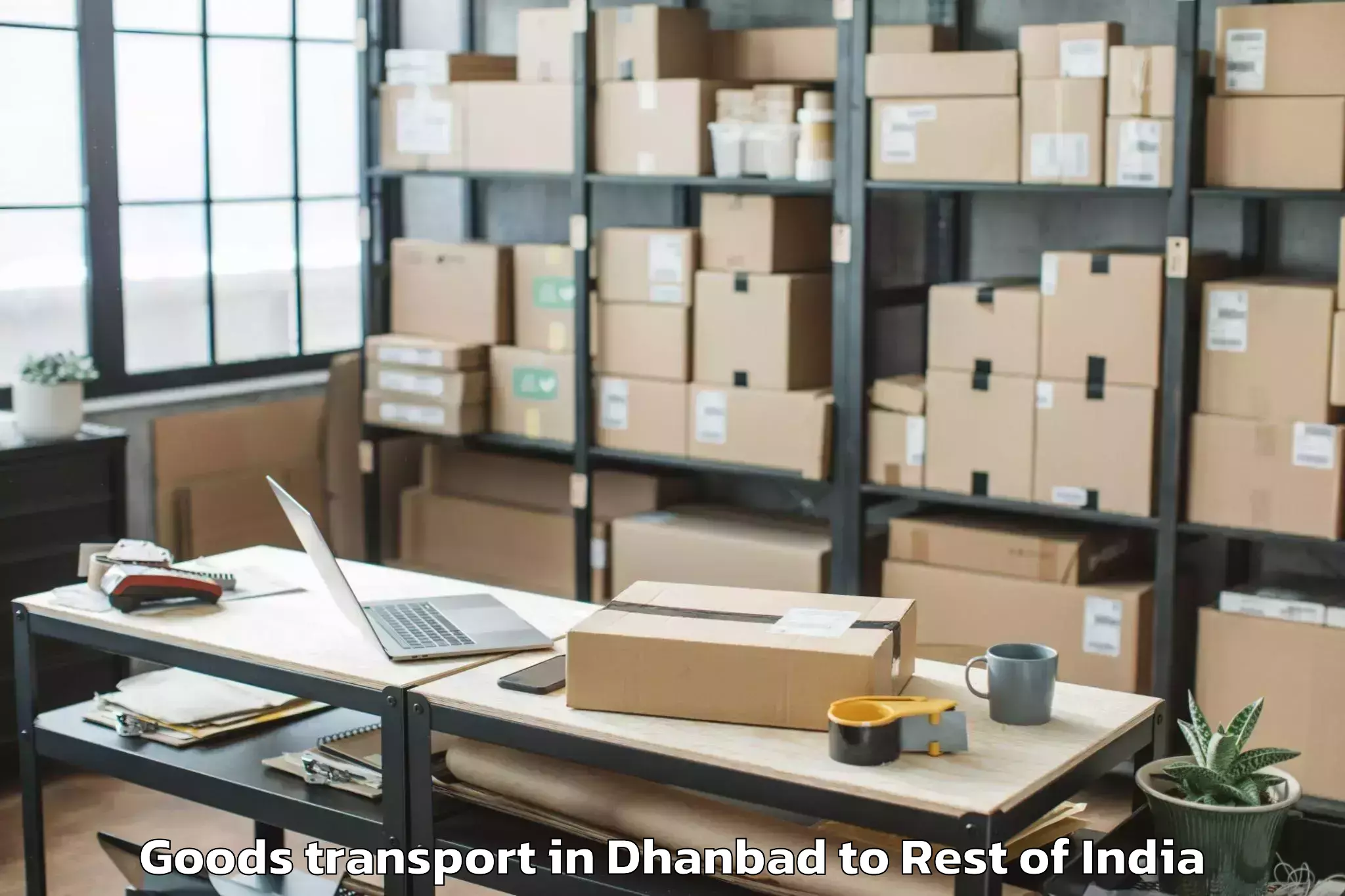 Book Dhanbad to Nowshehra Goods Transport